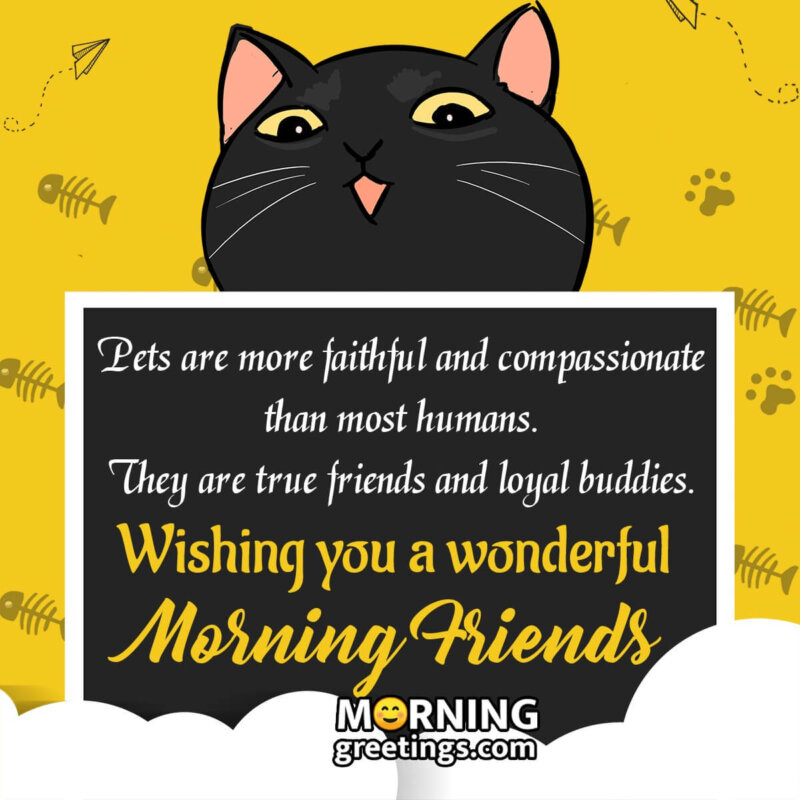 Wonderful Morning Pet Message