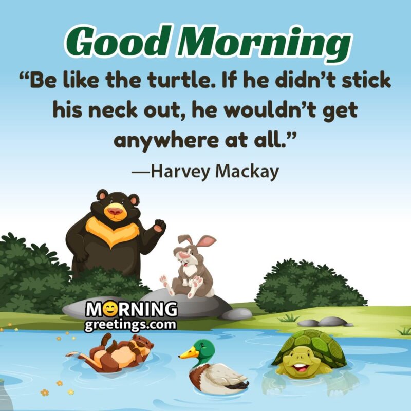 Good Morning Be Like Turtle