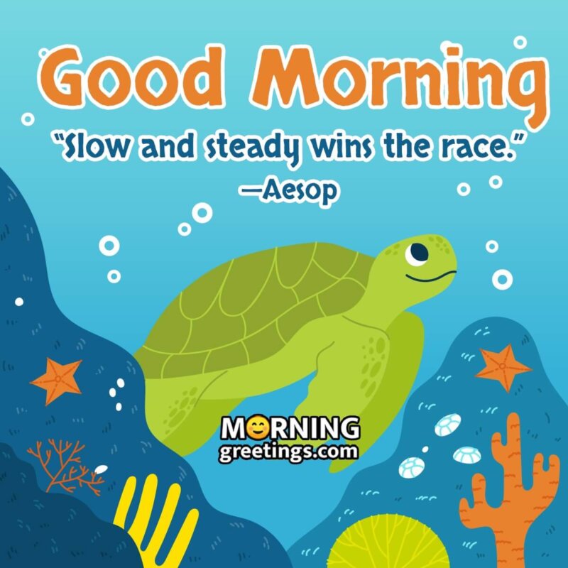 Good Morning Tortoise Slogan