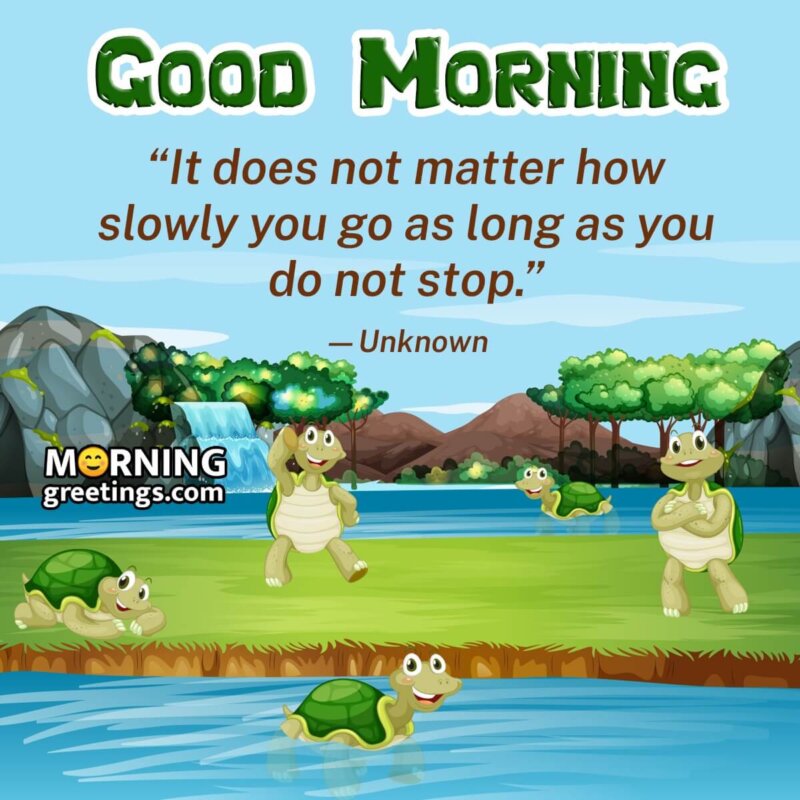 Good Morning Turtle Image