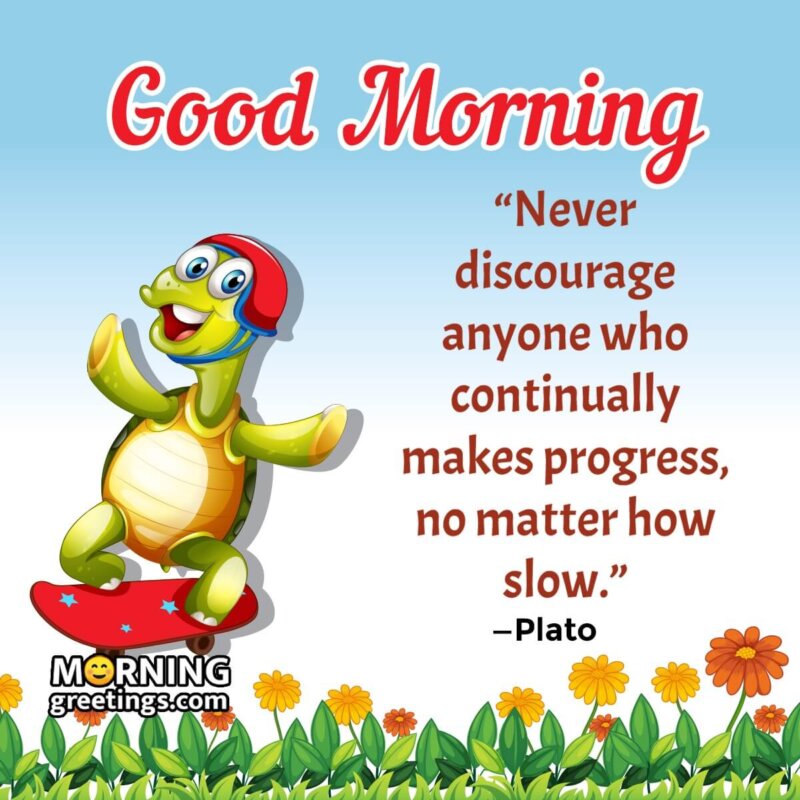 15 Good Morning Turtle Quotes And Saying - Morning Greetings – Morning  Quotes And Wishes Images