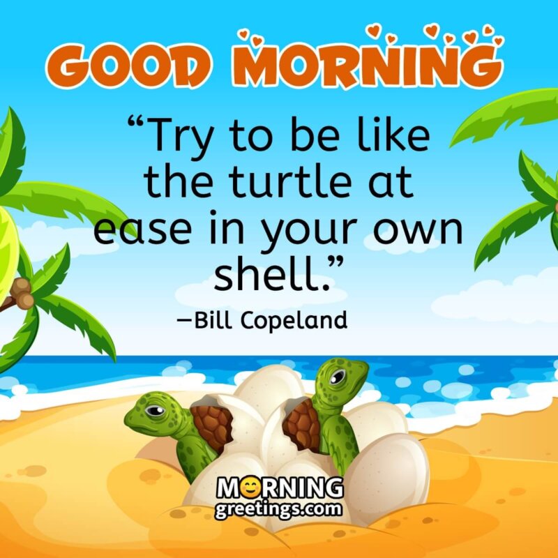 Good Morning Turtle Quote Image