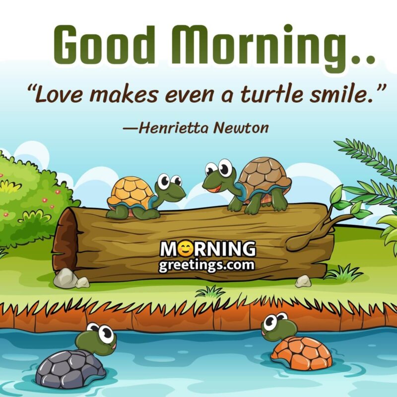 Good Morning Turtle Quote Pic