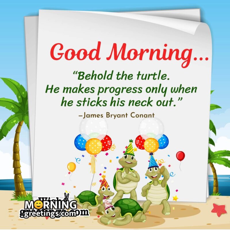 Good Morning Turtle Quotes