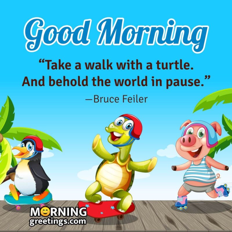 Good Morning Turtle Status