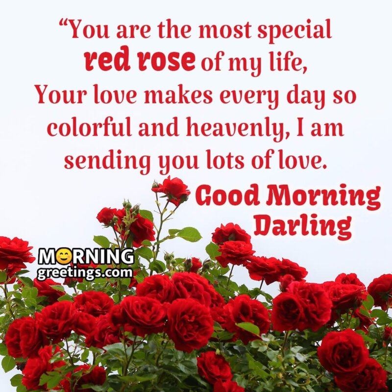 Good Morning Darling With Red Roses