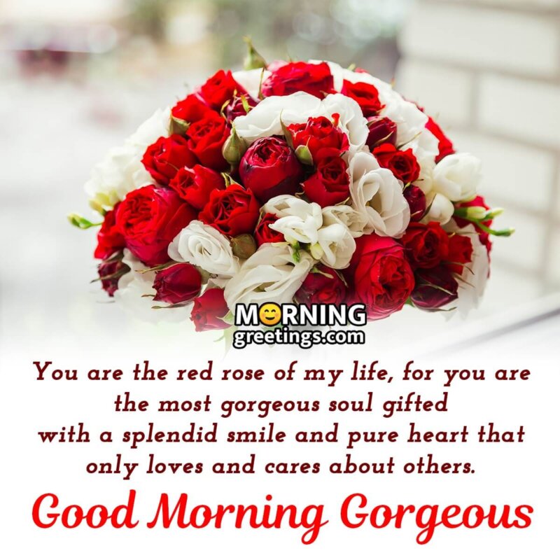 Good Morning Gorgeous With Red Roses