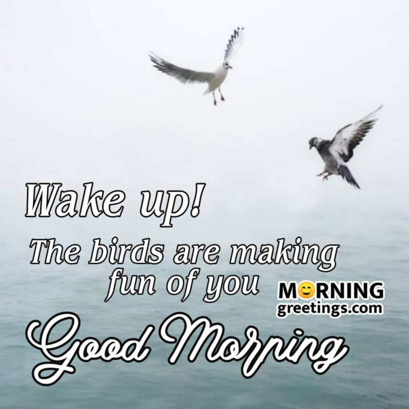 Good Morning Wake Up