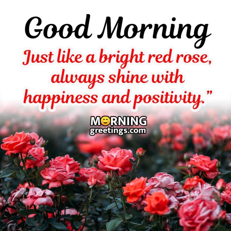 Good Morning Wish With Red Roses