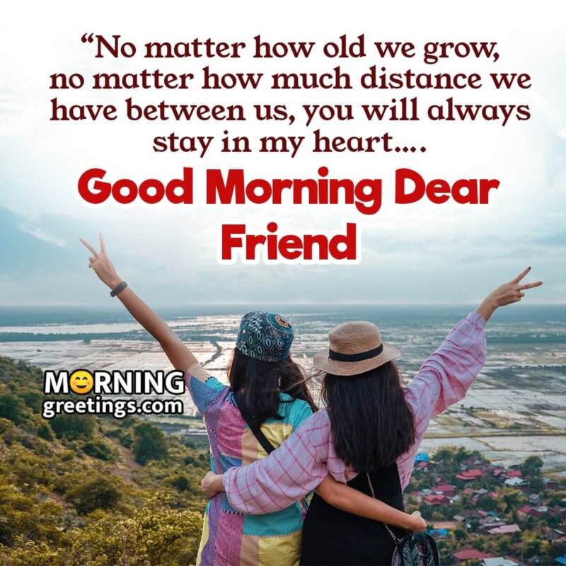 A Comprehensive Collection of Stunning Good Morning Dear Friend Images ...