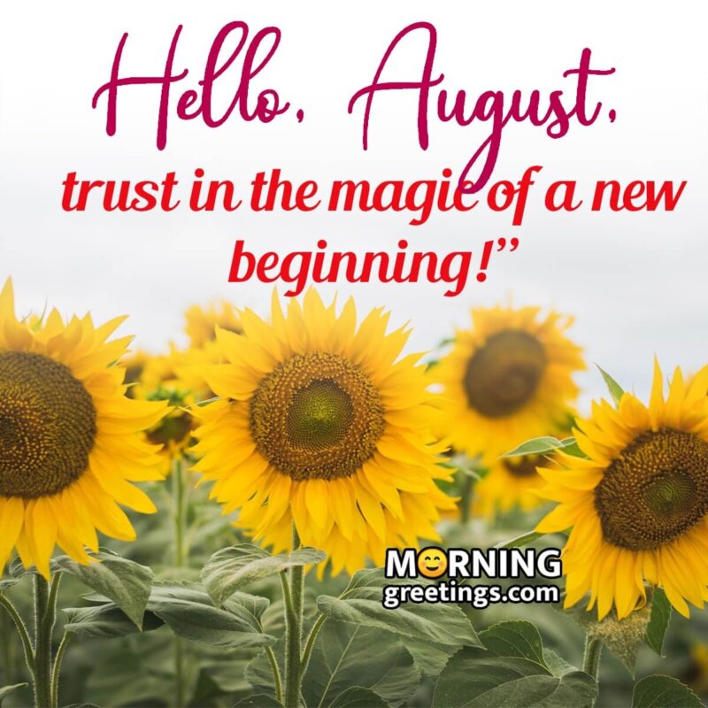 Hello August Message