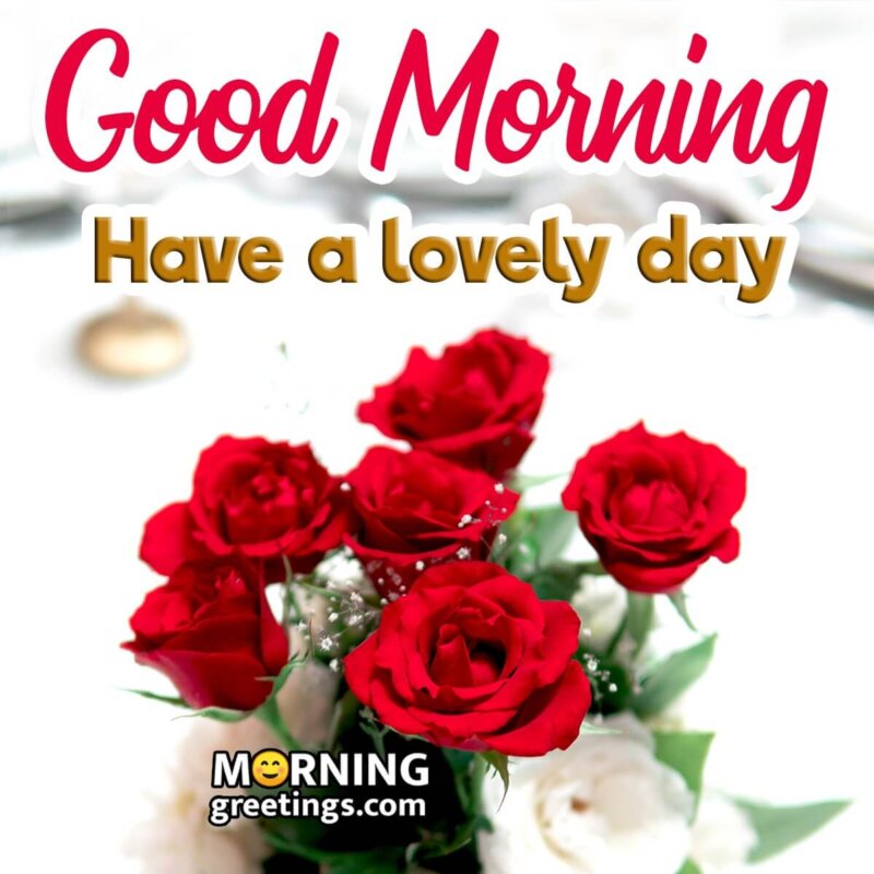 Lovely Good Morning Red Roses