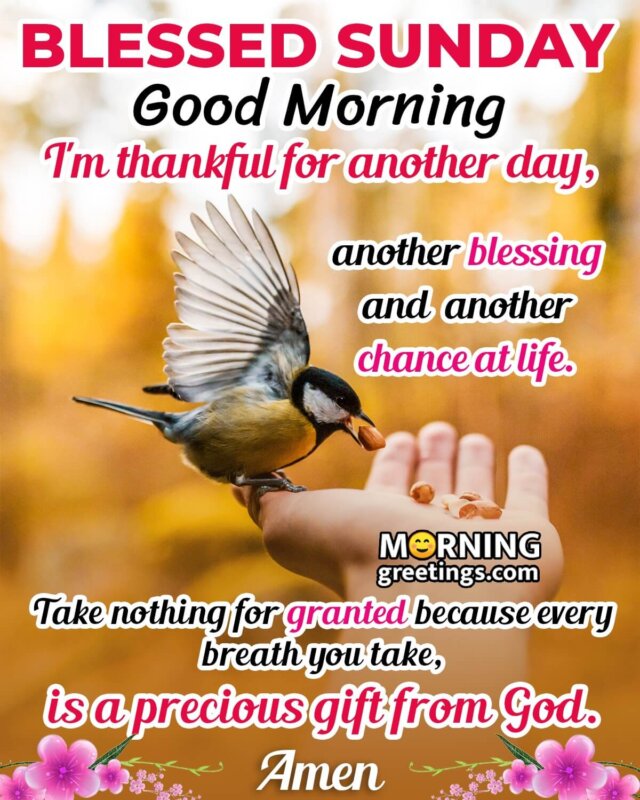 Blessed Sunday Good Morning