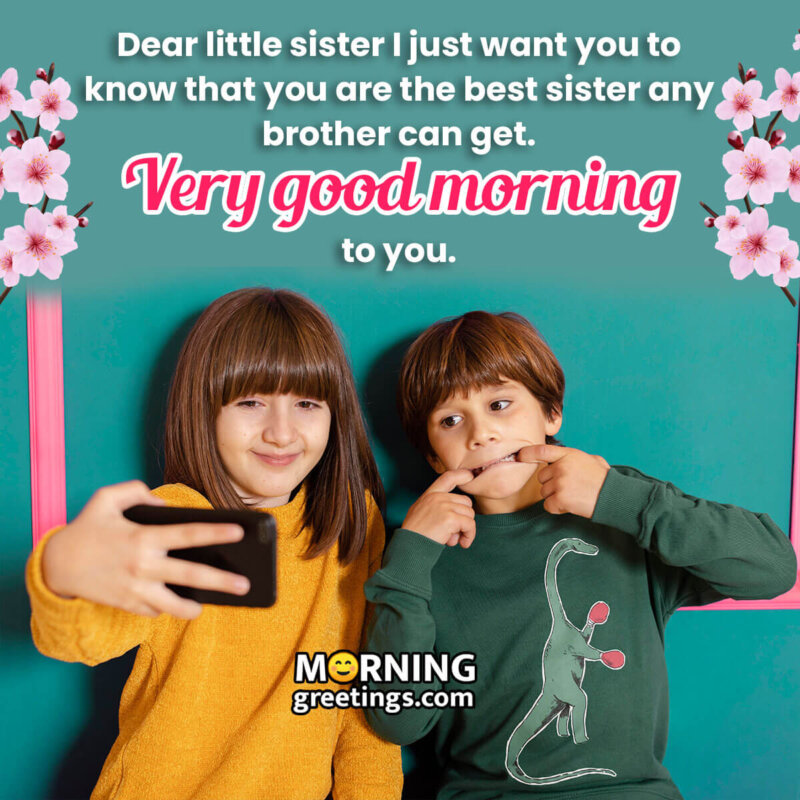 Dear Little Sister Very Good Morning