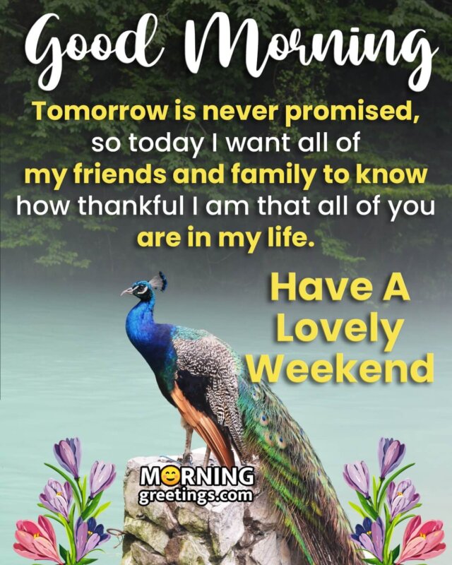 50 Wonderful Weekend Quotes Wishes Pics - Morning Greetings ...