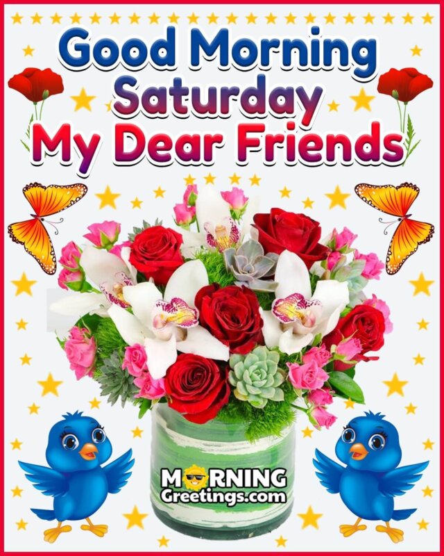 50 Good Morning Happy Saturday Images - Morning Greetings – Morning Quotes  And Wishes Images