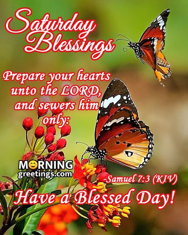 Saturday Blessings Have A Blessed Day