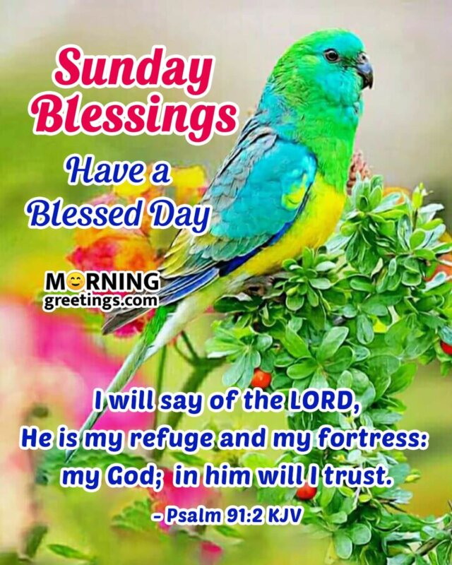 Sunday Blessings Blessed Day Image
