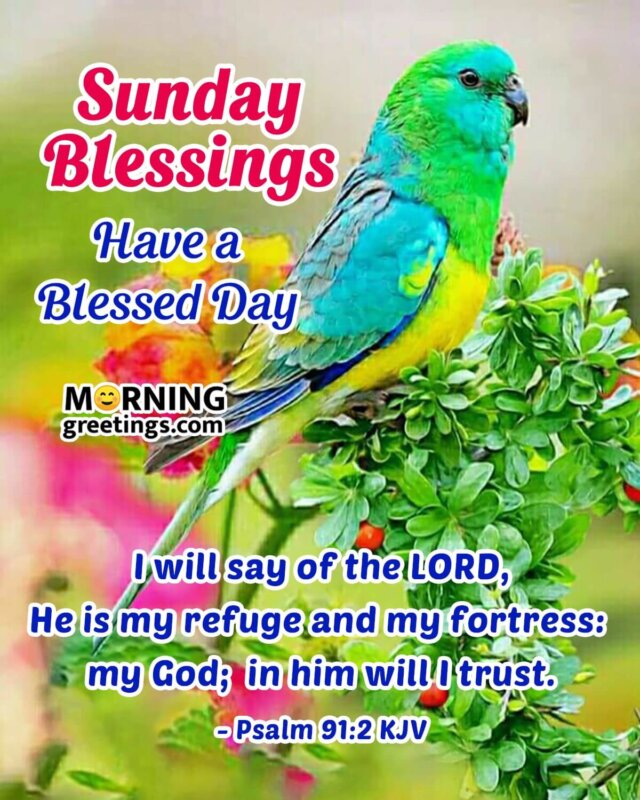 30 Super Sunday Morning Blessings - Morning Greetings – Morning ...