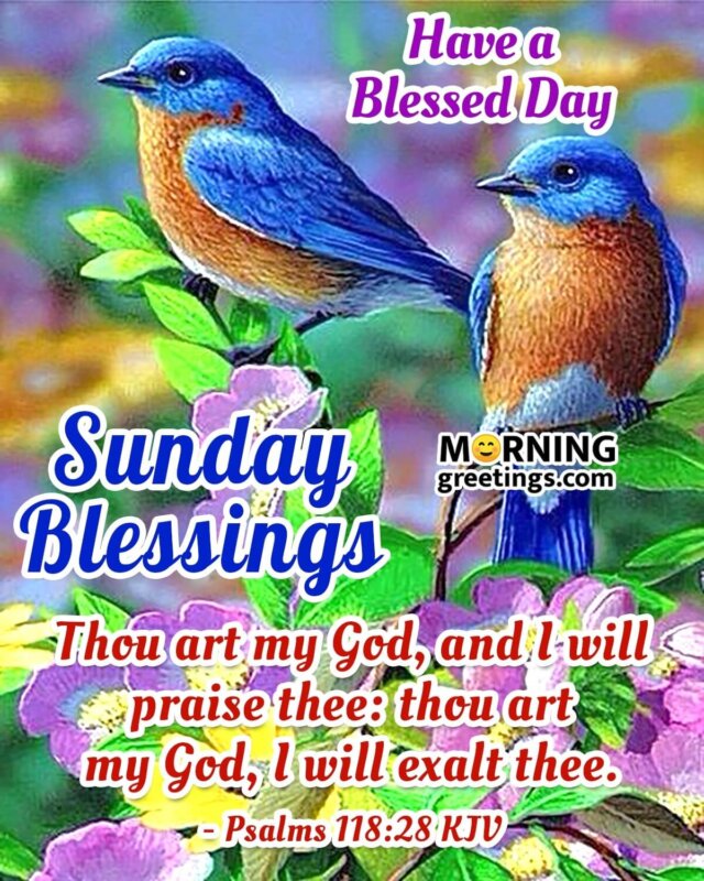 Sunday Blessings Blessed Day Pic