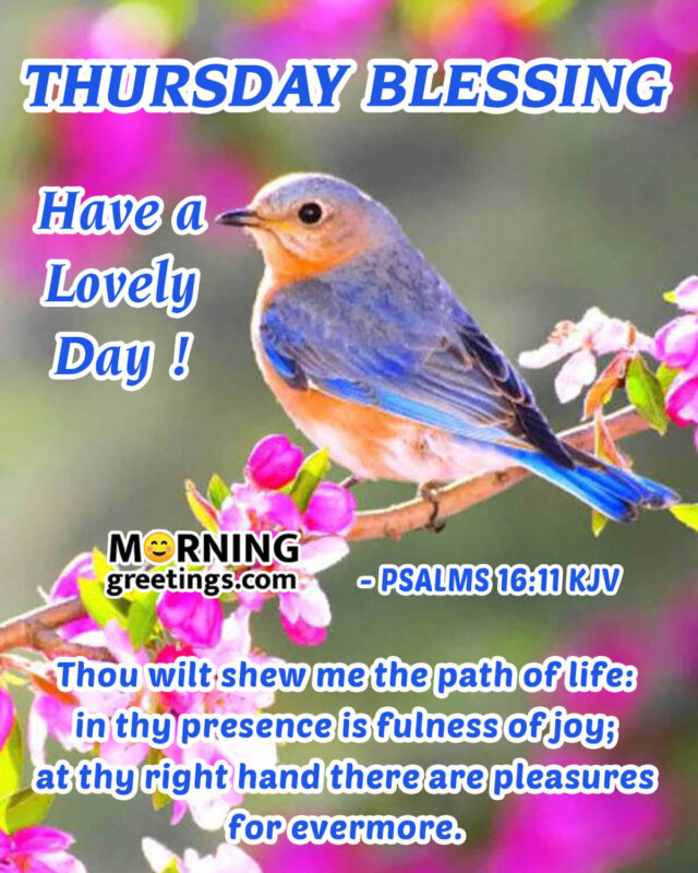 Thursday Blessing Have A Lovely Day!