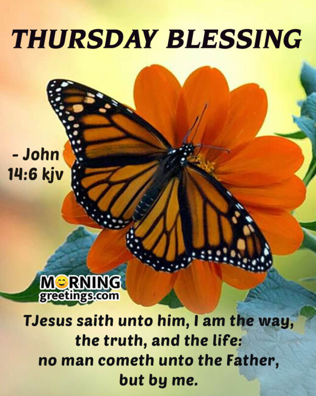 30 Amazing Thursday Morning Blessings - Morning Greetings ...