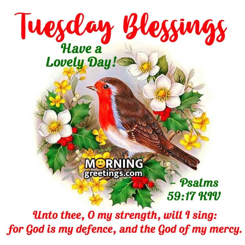 Tuesday Blessing Lovely Day Image