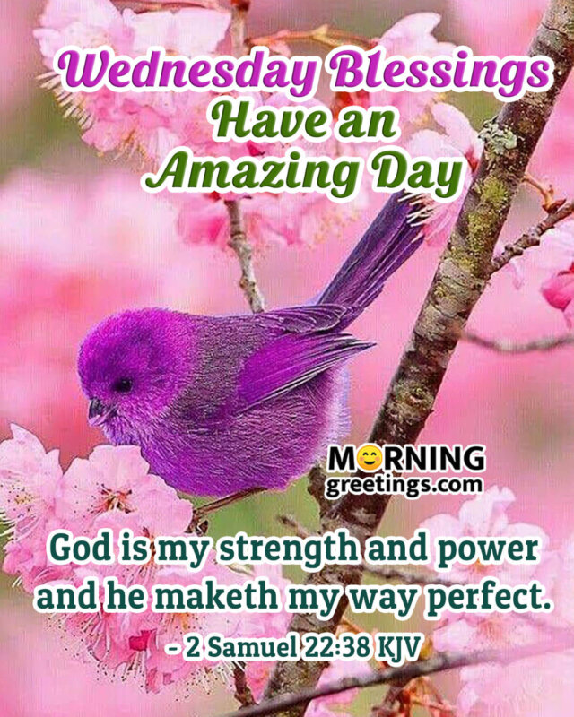 30 Amazing Wednesday Morning Blessings - Morning Greetings ...