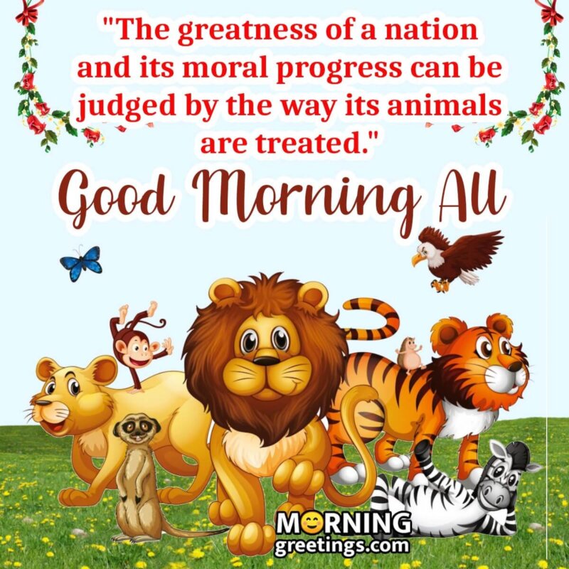 Good Morning Animal Quotes