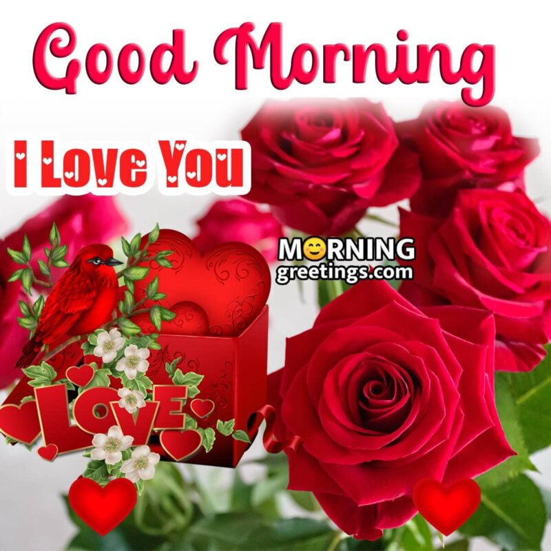 30 Good Morning Wishes With Red Roses - Morning Greetings ...