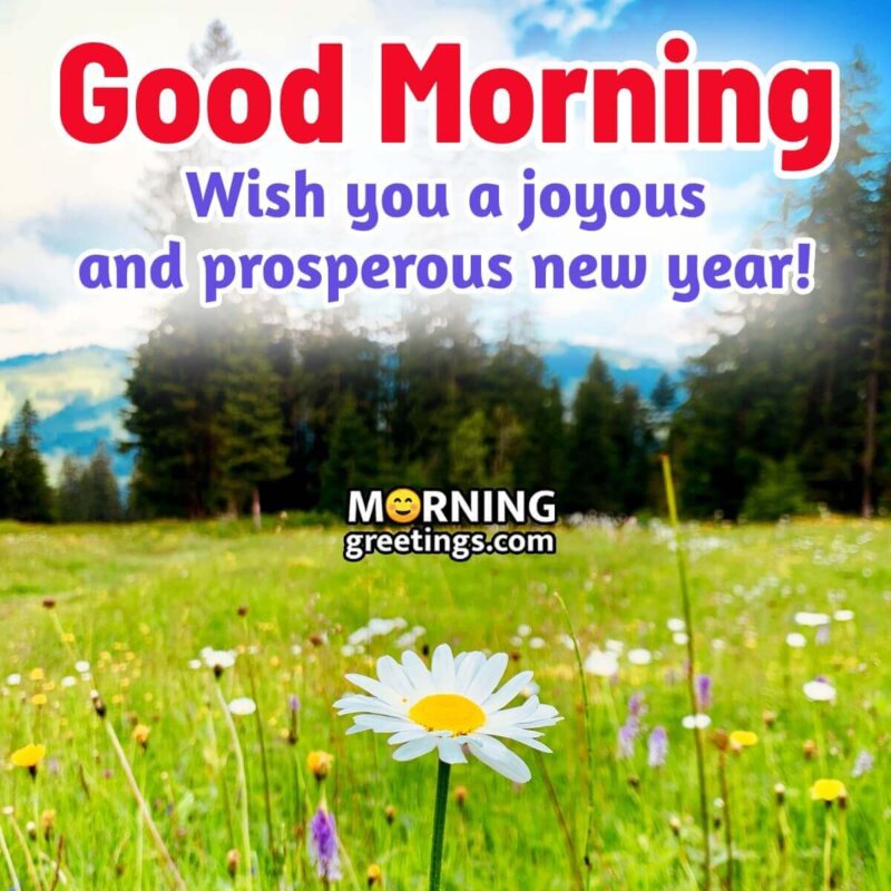 Beautiful Good Morning Happy New Year Wish Photo