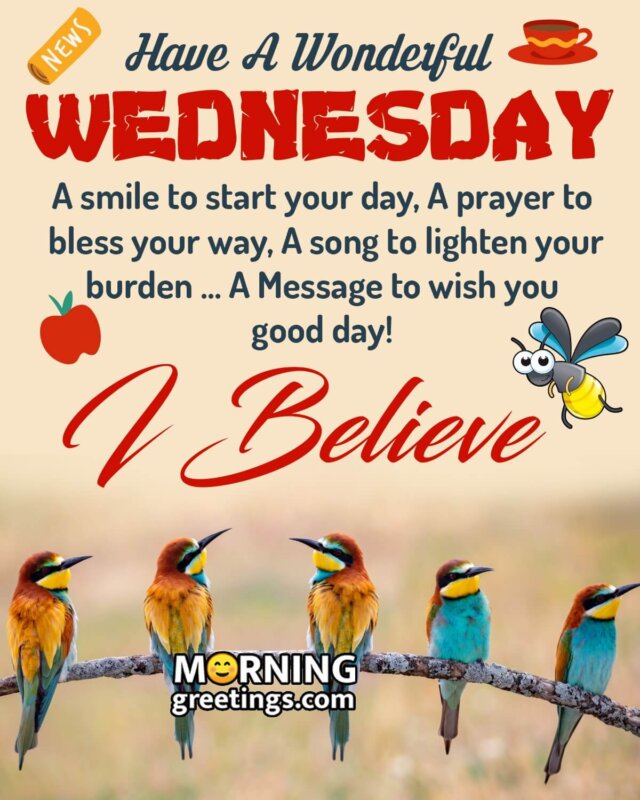 Have A Wonderful Wednesday