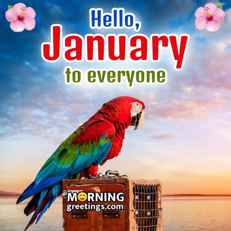 Hello January To Everyone