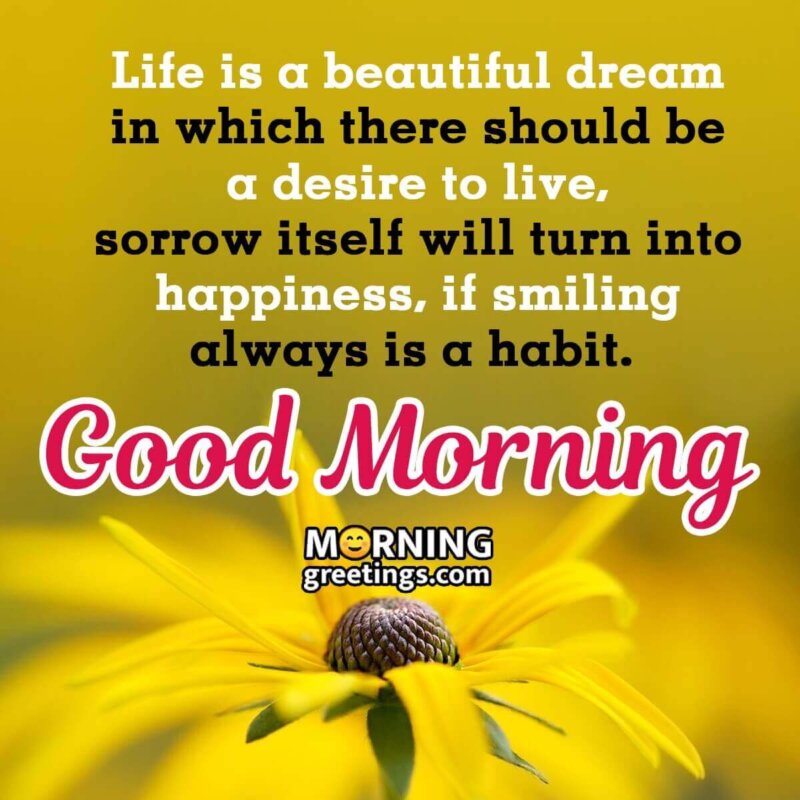 Wonderful Inspirational Good Morning Message Pic