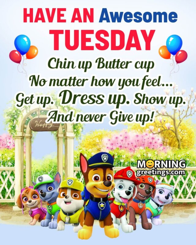 Have An Awsome Tuesday