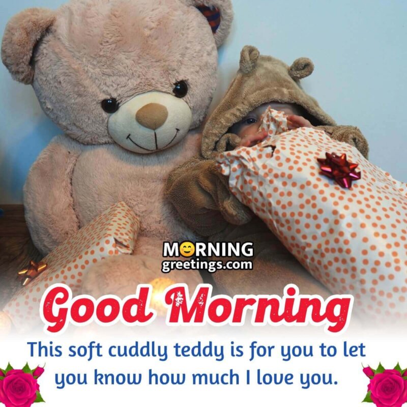 Cute Teddy Good Morning Message Image