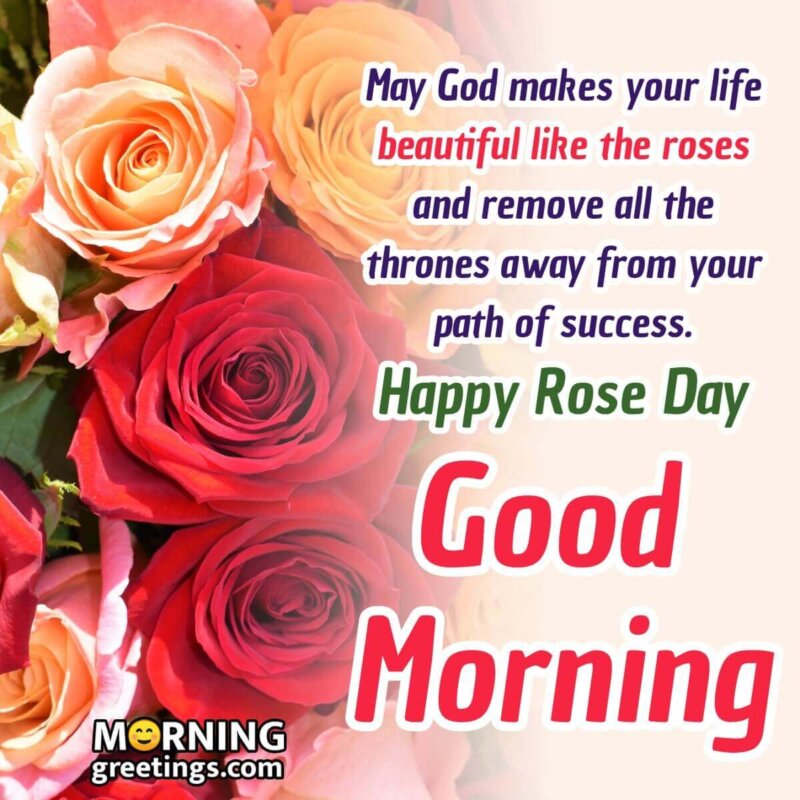 25 Good Morning Happy Rose Day Wishes Images - Morning Greetings ...