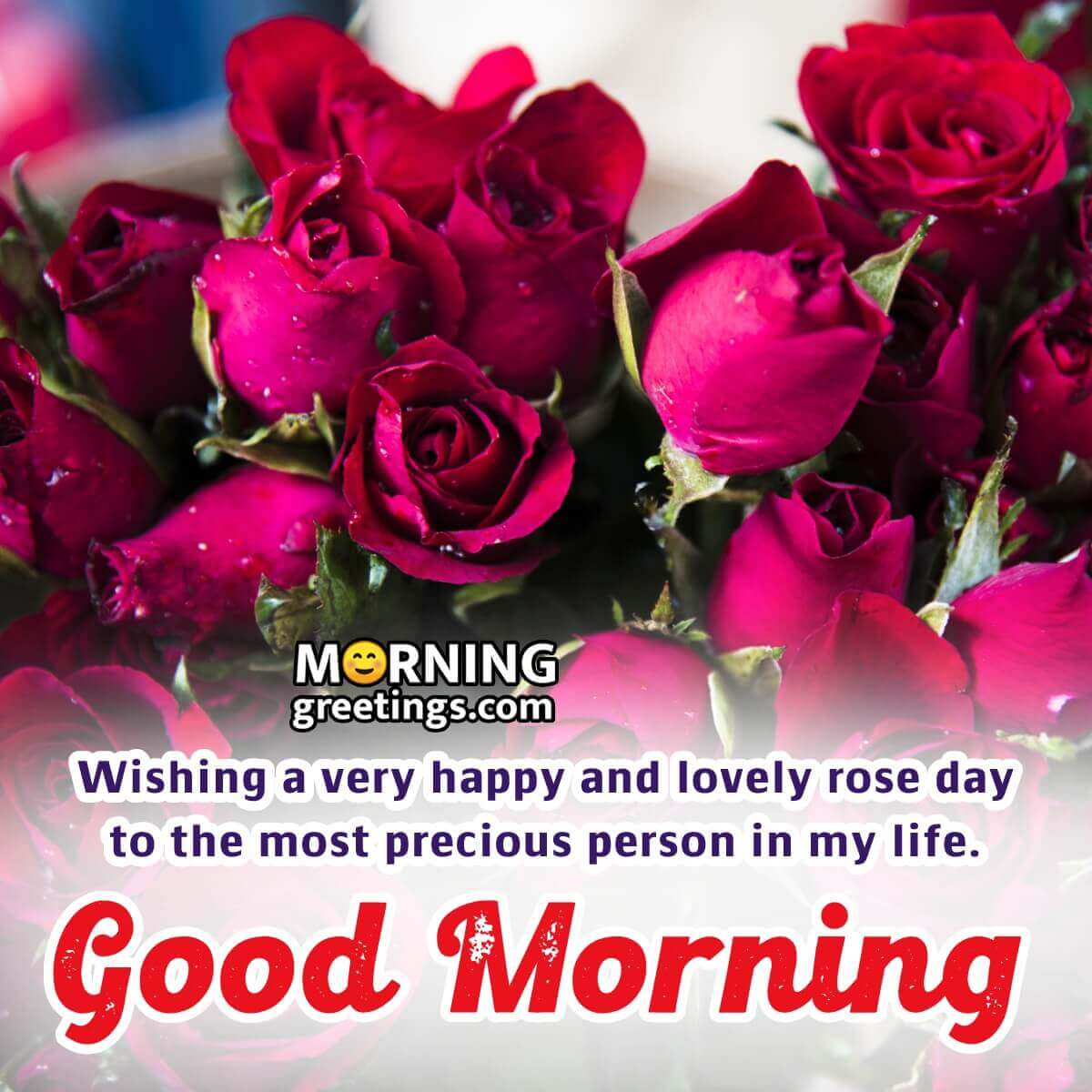 Rose Day Good Morning Message Photo