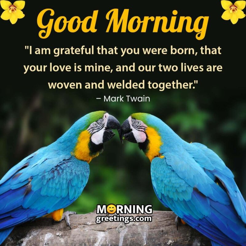 Wonderful Good Morning Love Quote Pic