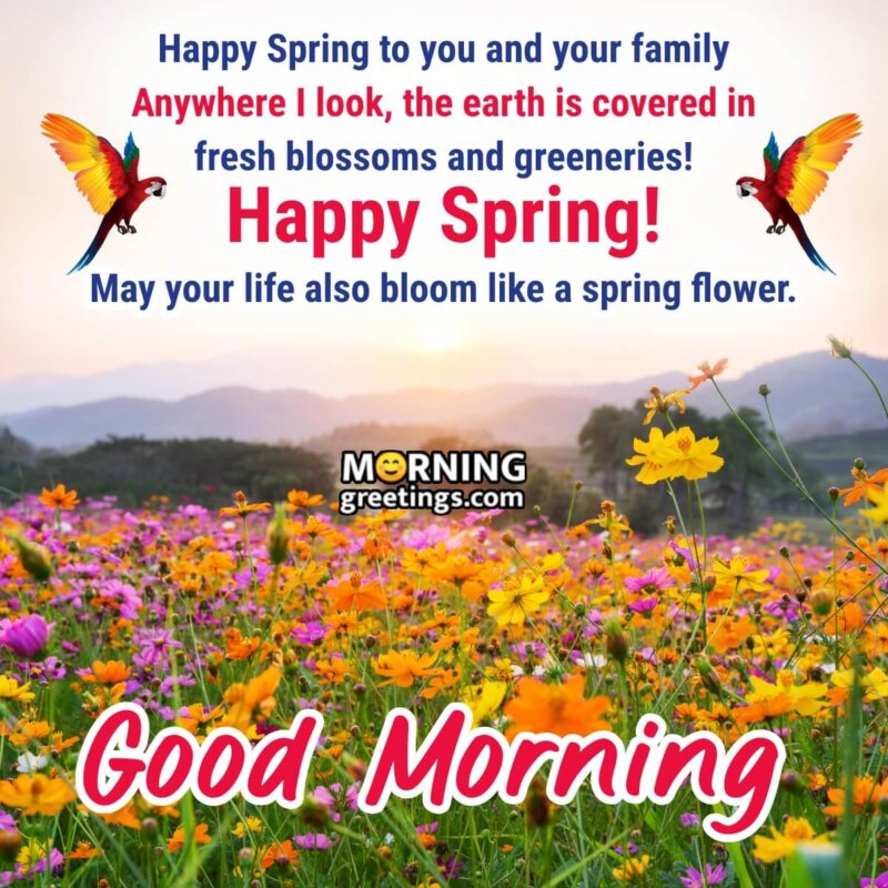 Good Morning Spring Wish Image