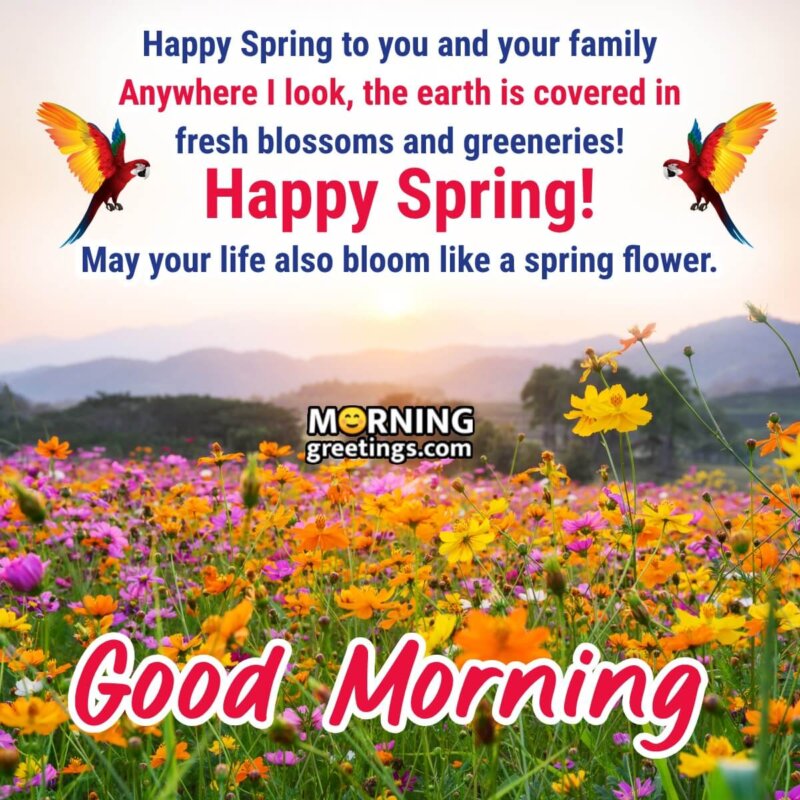 30 Good Morning Spring Wishes - Morning Greetings – Morning Quotes ...