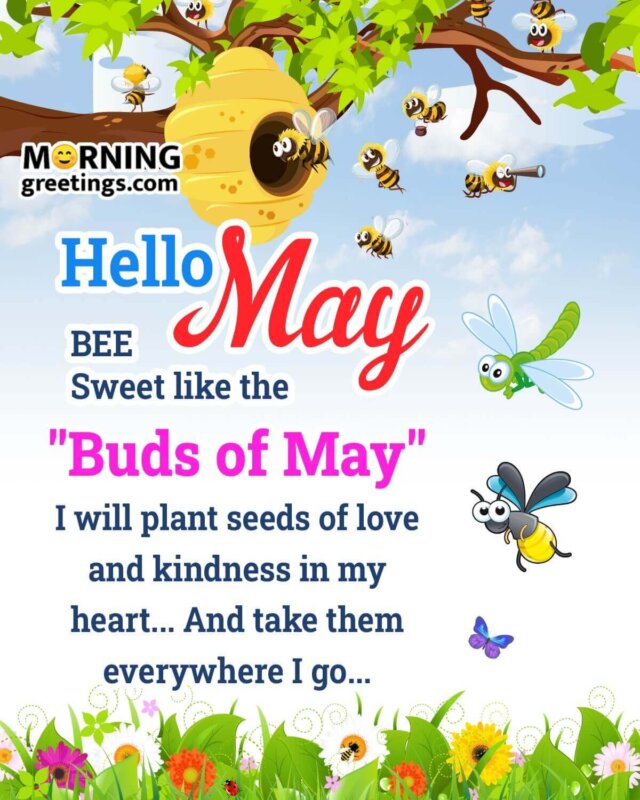 Best May Morning Quotes And Wishes