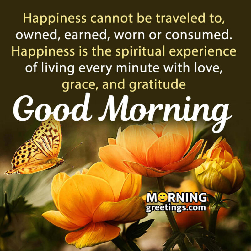 Good Morning Happiness Quote Image