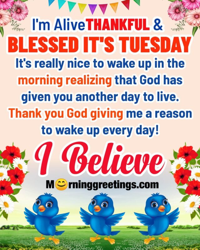 Thankful Blessed Tuesday