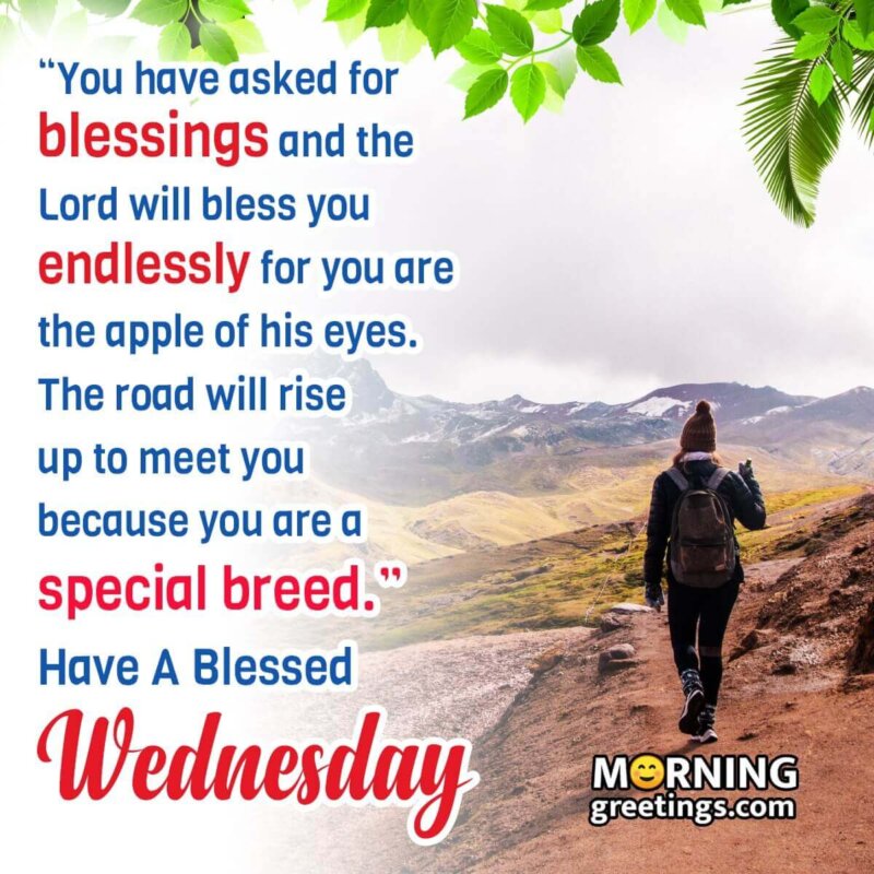 Beautiful Positive Blessed Wednesday Quote Image
