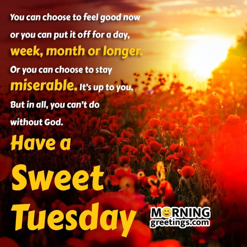 Blessed Sweet Tuesday Quote Photo