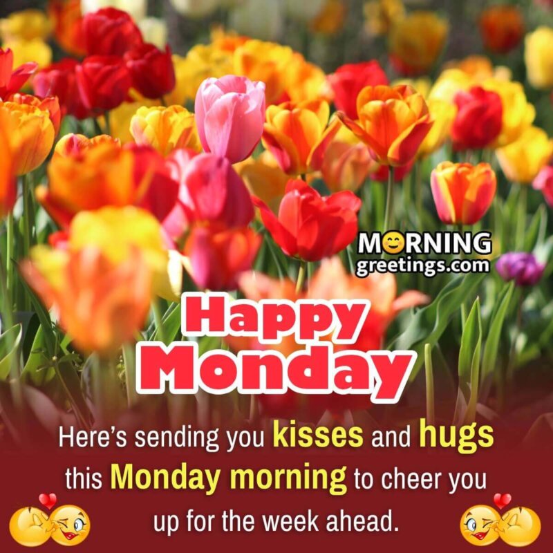 20 Positive Blessed Monday Quotes - Morning Greetings – Morning ...