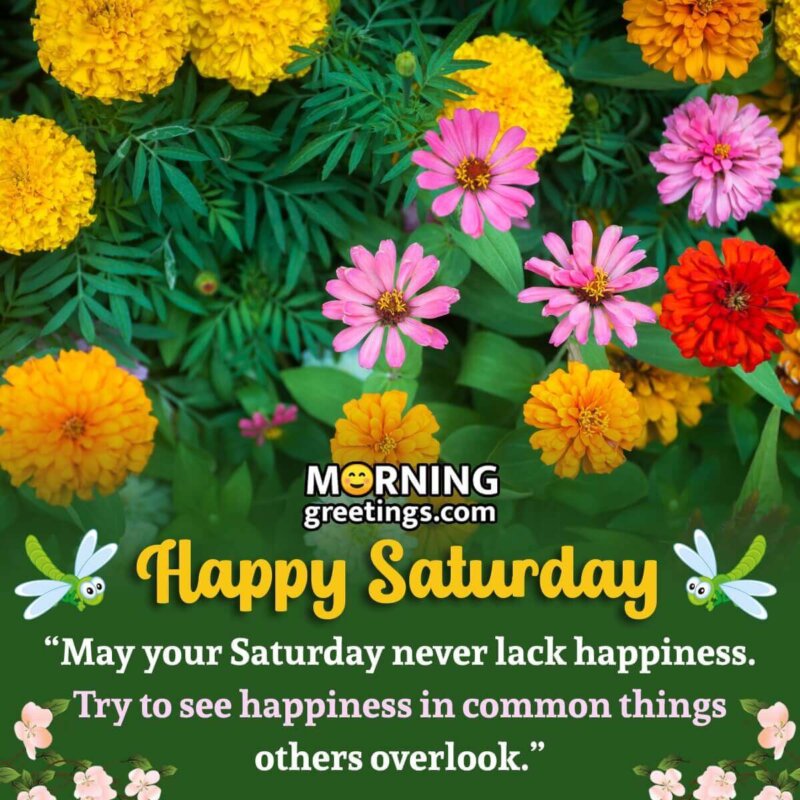 20 Positive Blessed Saturday Quotes - Morning Greetings – Morning ...