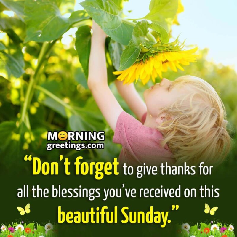 Positive Blessed Sunday Quotes