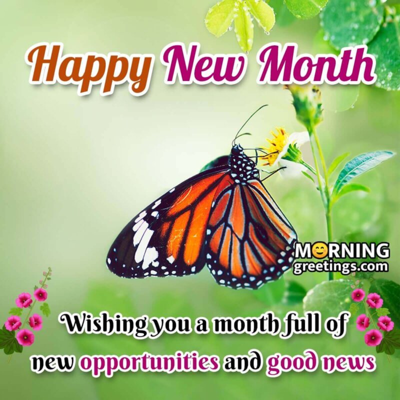 Best Happy New Month Wish Picture